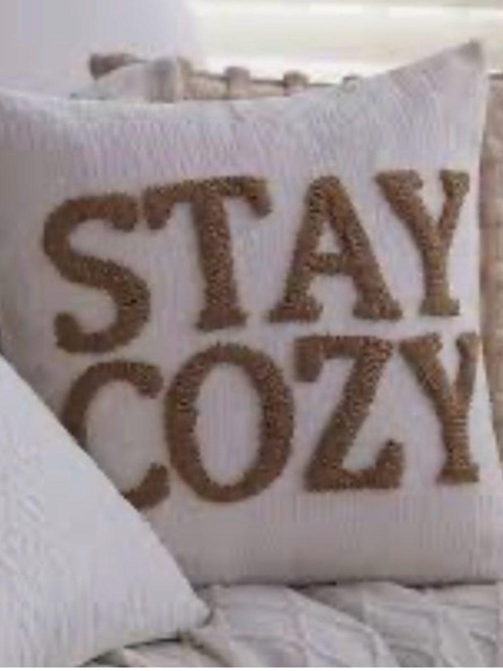NWOT Stay Cozy Teddy Faux Fur Appliqué Pillow Cover